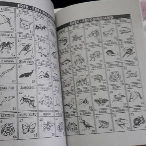 Bagaimana Buku Mimpi Togel Digunakan